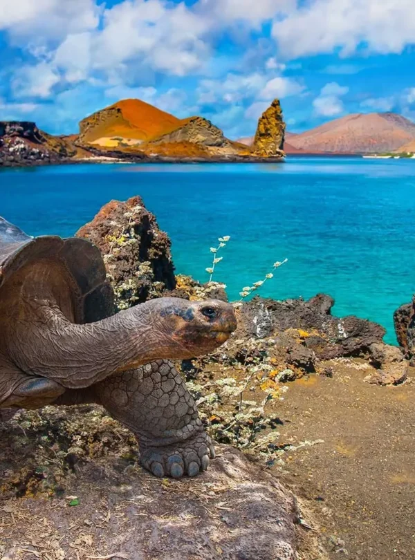 galapagos-islands-ecuador-1