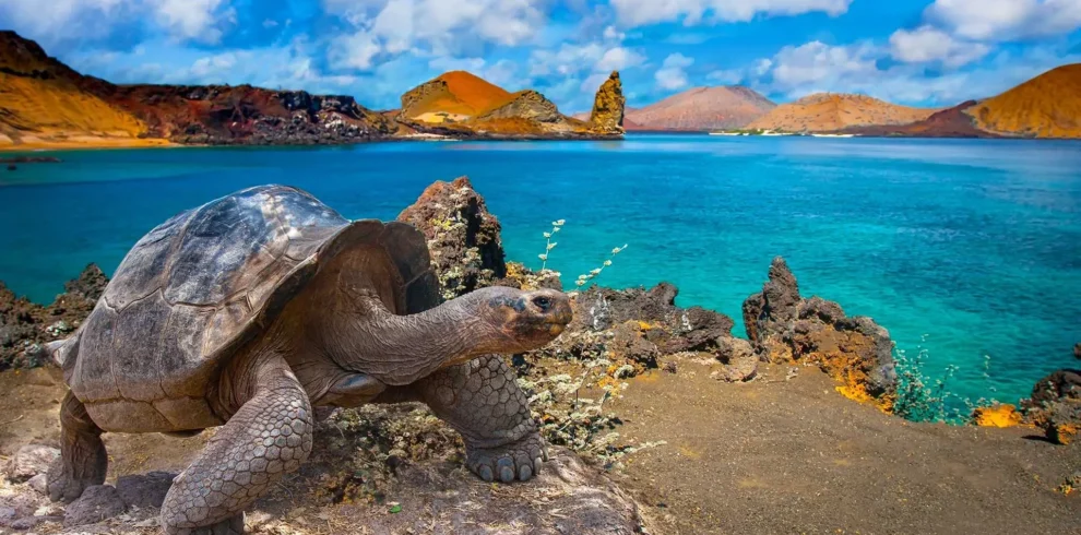galapagos-islands-ecuador-1